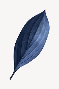 Vintage blue leaf illustration psd