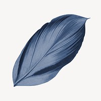 Vintage blue leaf illustration psd