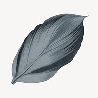 Vintage gray leaf illustration psd