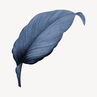 Vintage blue leaf illustration psd