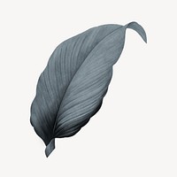 Vintage gray leaf illustration psd