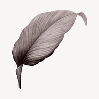 Vintage Autumn gray leaf illustration psd