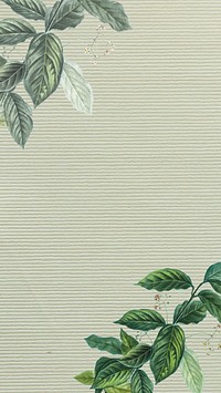 Leaf border green mobile wallpaper