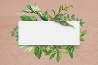 Rectangle white frame, leaf illustration