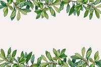 Tropical beige background, leaf border