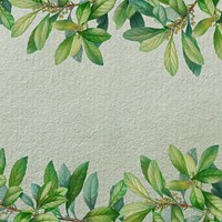 Leaf border gray textured background