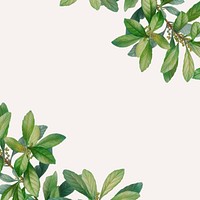 Tropical beige background, leaf border