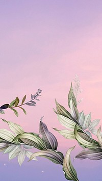 Pastel purple sky mobile wallpaper, tree branch border