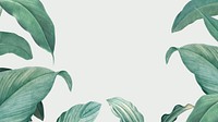 Tropical green desktop wallpaper, leaf border design