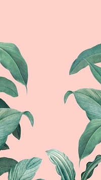 Tropical pink phone wallpaper, leaf border