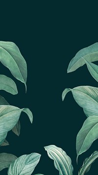 Tropical dark green mobile wallpaper, leaf border design