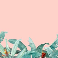 Tropical pink background, leaf border