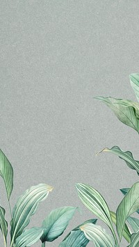 Leaf border gray mobile wallpaper