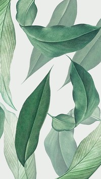 Tropical leaf mobile wallpaper