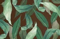 Tropical leaf, brown background