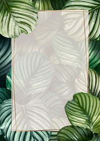 Tropical leaf frame background, botanical design