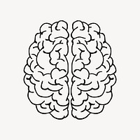 Brain illustration. Free public domain CC0 image.