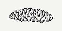 Conifer cone clip art psd. Free public domain CC0 image.