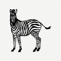 Zebra clipart psd. Free public domain CC0 image.