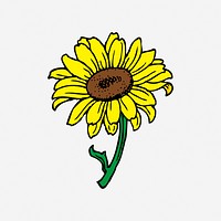 Sunflower collage element vector. Free public domain CC0 image.