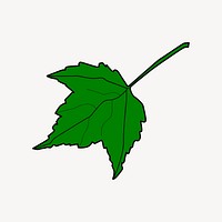 Maple leaf illustration psd. Free public domain CC0 image.