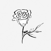 Rose illustration vector. Free public domain CC0 image.