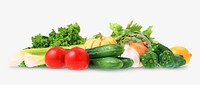 Salad vegetable, isolated design
