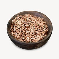 Brown flax seed isolated object