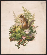 Chipmunk and ferns (1874) by Whitney, Olive E.