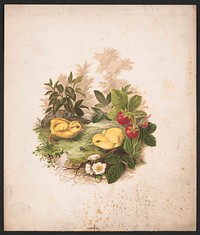 Chickens and strawberries (1875) by Whitney, Olive E.