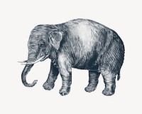 Elephant vintage illustration, animal drawing psd