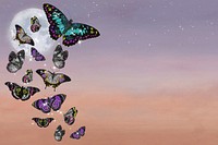 Dreamy butterflies background, full moon surreal design