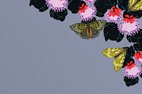 Art nouveau butterfly background, vintage insect illustration, remixed from the artwork of E.A. Séguy.