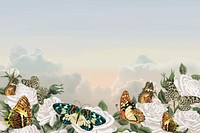 Aesthetic sky background, vintage butterfly border