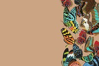 E.A. Séguy's butterflies background, vintage insect illustration, remixed by rawpixel.