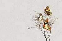 Autumn butterfly background, gray texture border, remixed by rawpixel.