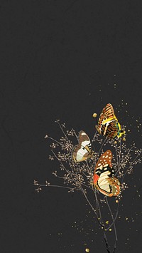 Autumn butterfly iPhone wallpaper, black texture border background, remixed by rawpixel.