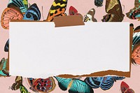 Ripped note paper background, E.A. Séguy's butterfly pattern, remixed by rawpixel.