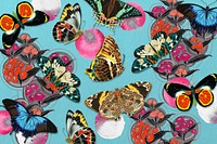 Vintage butterfly patterns background, E.A. Séguy's famous artwork, remixed by rawpixel.