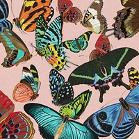 Exotic butterfly patterned background, E.A. Séguy's vintage illustration, remixed by rawpixel.