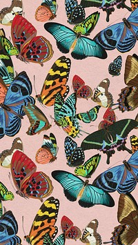 Exotic butterfly patterned phone wallpaper, E.A. Séguy's vintage background, remixed by rawpixel.