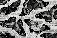 Black butterfly patterned background, vintage insect, remixed from the artwork of E.A. Séguy.