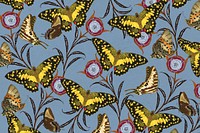 Vintage butterfly patterned background, E.A. Séguy's famous artwork, remixed by rawpixel.