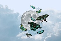 Aesthetic full moon background, butterflies sky, remixed from the artwork of E.A. Séguy.