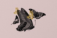 Vintage butterfly background, pink design, remixed from the artwork of E.A. Séguy.