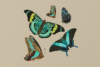 E.A. Séguy's butterfly background, vintage brown design, remixed by rawpixel.