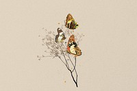 Autumn aesthetic butterfly background, beige design, remixed from the artwork of E.A. Séguy.