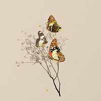 Autumn butterflies, aesthetic insect remix