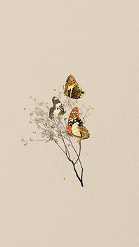 Autumn aesthetic butterfly phone wallpaper, beige background, remixed from the artwork of E.A. Séguy.