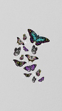 Gray glittery butterfly iPhone wallpaper, textured background, remixed from the artwork of E.A. Séguy.